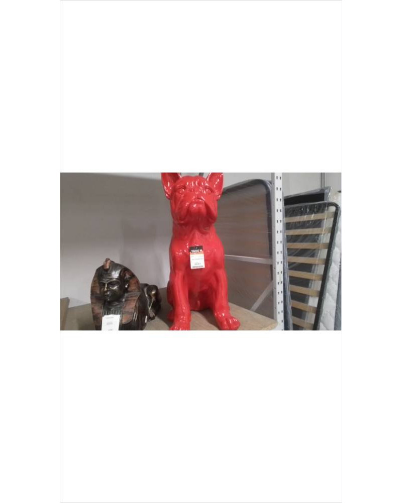 BULL YUKI ASSIS  80 CM