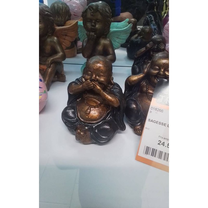 SAGESSE LOT 3 EN 10 CM