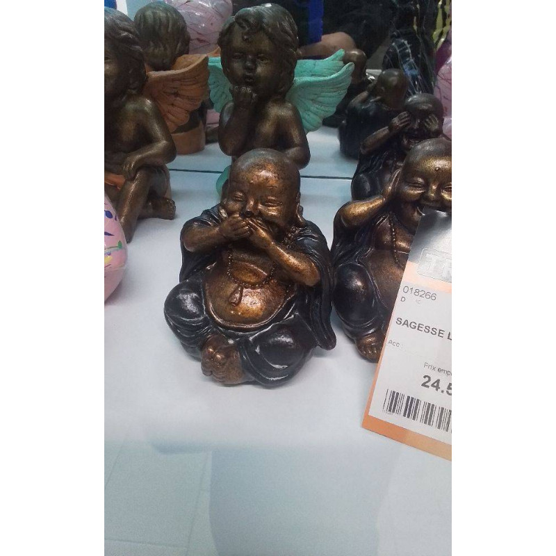 SAGESSE LOT 3 EN 10 CM