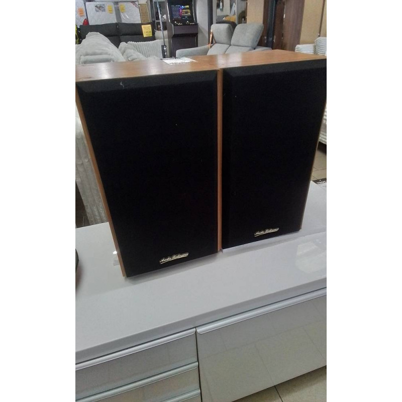 PAIRE ENCEINTES AUDI REFERENCE H10