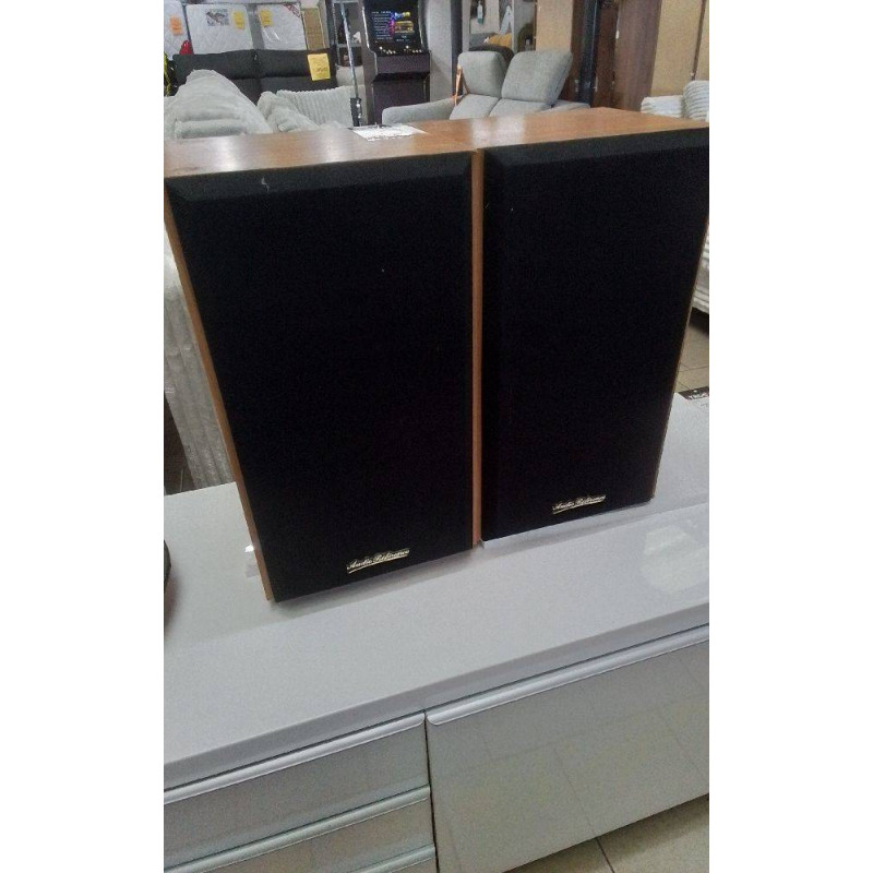 PAIRE ENCEINTES AUDI REFERENCE H10